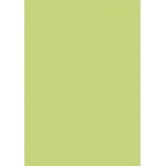 Бумага для парчмента 150 гр Pergamano А4 Светло-зеленый 1 лист 61591.1